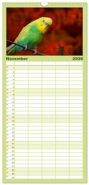 Produktbild: Familienplaner 2026 - Wellensittiche mit 5 Spalten (Wandkalender, 21 x 45 cm) CALVENDO