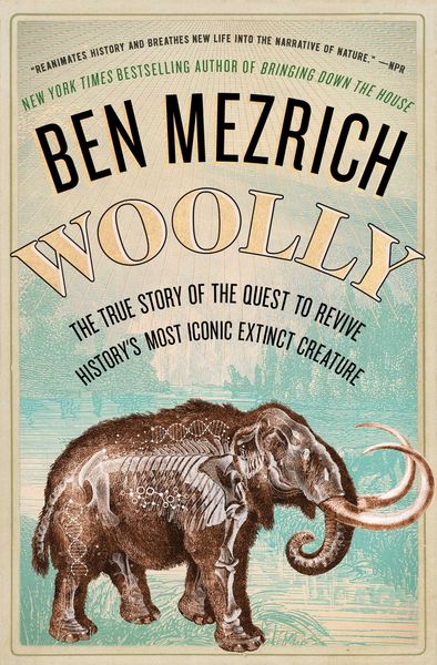 Produktbild: Woolly