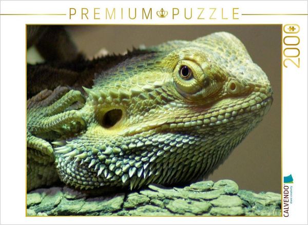 Produktbild: CALVENDO Puzzle Bartagame | 2000 Teile Lege-Gr&ouml;&szlig;e 90x67cm Foto-Puzzle f&uuml;r gl&uuml;ckliche Stunden