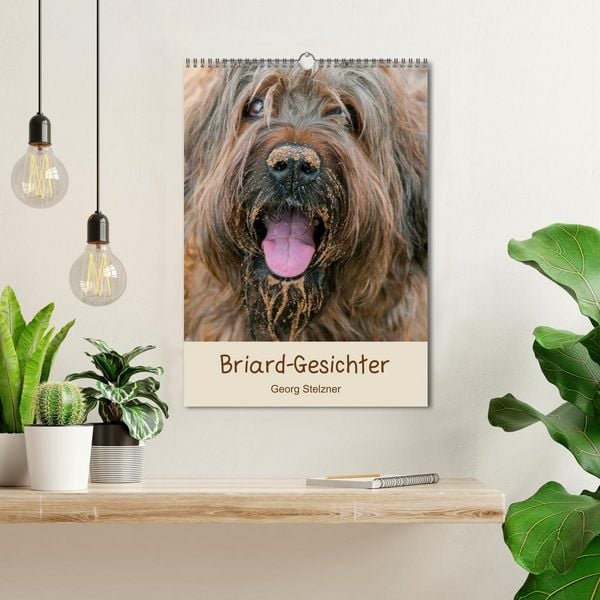 Produktbild: Briard-Gesichter (Wandkalender 2026 DIN A3 hoch), CALVENDO Monatskalender