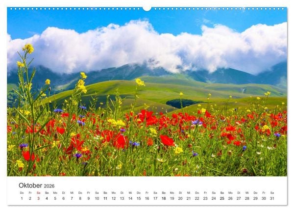 Produktbild: Die sch&ouml;nsten Blumenwiesen der Welt (hochwertiger Premium Wandkalender 2026 DIN A2 quer), Kunstdruck in Hochglanz