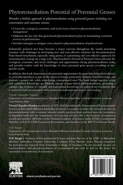 Produktbild: Phytoremediation Potential of Perennial Grasses