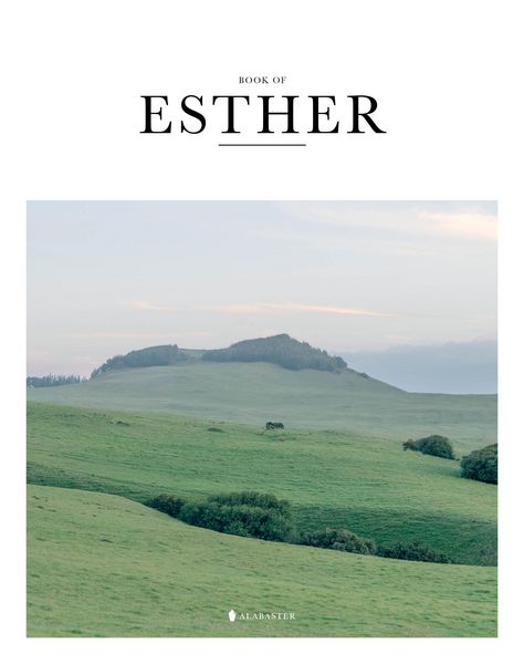 Produktbild: Book of Esther (Sc, Nlt)