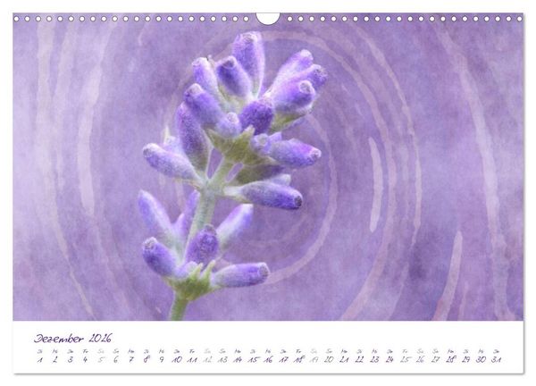 Produktbild: Lila Bl&uuml;ten (Wandkalender 2026 DIN A3 quer), CALVENDO Monatskalender