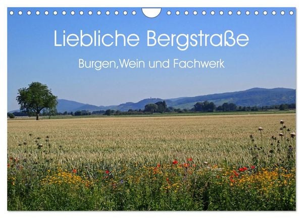 Liebliche Bergstraße - Burgen, Wein und Fachwerk (Wandkalender 2025 DIN A4 quer), CALVENDO Monatskalender