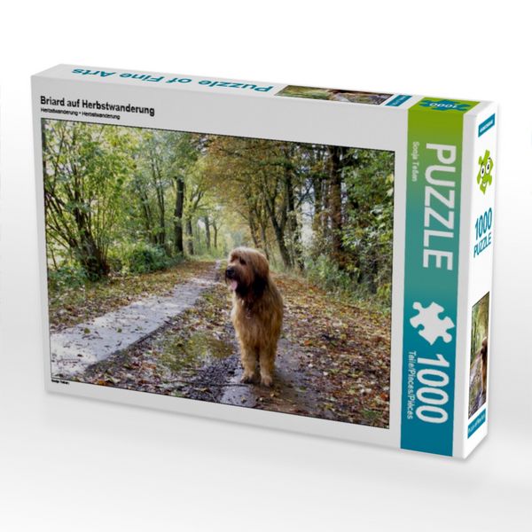 Produktbild: CALVENDO Puzzle Briard auf Herbstwanderung | 1000 Teile Lege-Gr&ouml;&szlig;e 64 &times; 48 cm Foto-Puzzle f&uuml;r gl&uuml;ckliche Stunden