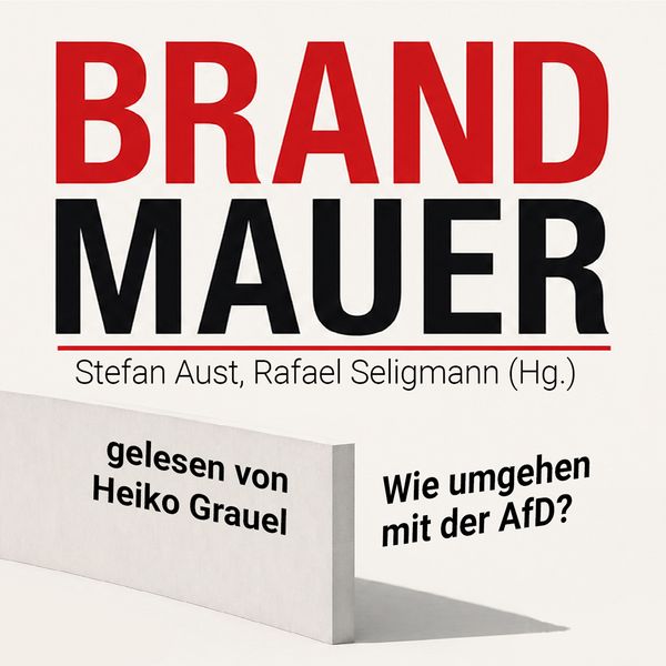 Produktbild: Brandmauer: Wie umgehen mit der AfD?