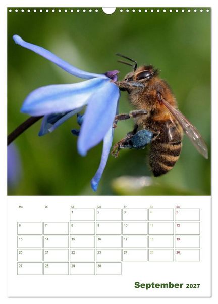 Produktbild: Bienen-Terminplaner 2027 (Wandkalender 2027 DIN A3 hoch), CALVENDO Monatskalender