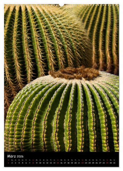 Produktbild: Lanzarote (hochwertiger Premium Wandkalender 2026 DIN A2 hoch), Kunstdruck in Hochglanz