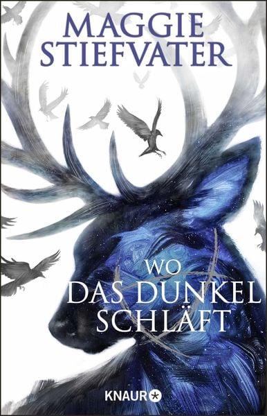 Wo das Dunkel schläft, Taschenbuch von Maggie Stiefvater, Knaur Taschenbuch, 978-3-426-52901-0