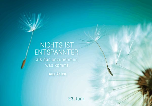 Produktbild: 365 Gl&uuml;cksmomente