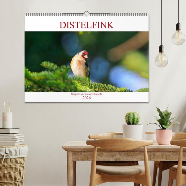 Produktbild: Distelfink (Wandkalender 2026 DIN A2 quer), CALVENDO Monatskalender