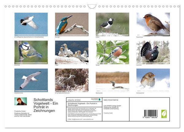 Produktbild: Schottlands Vogelwelt - Ein Portr&auml;t in Zeichnungen (Wandkalender 2026 DIN A3 quer), CALVENDO Monatskalender