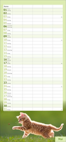 Produktbild: times&more Katzen Familienplaner 2027