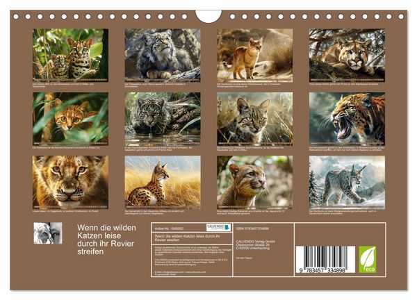 Produktbild: Wenn die wilden Katzen leise durch ihr Revier streifen (Wandkalender 2026 DIN A4 quer), CALVENDO Monatskalender