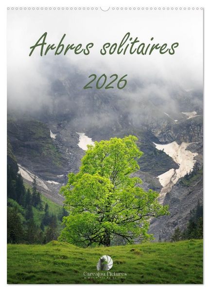 Produktbild: Arbres solitaires (Calendrier mural 2027 DIN A2 horizontal), CALVENDO calendrier mensuel
