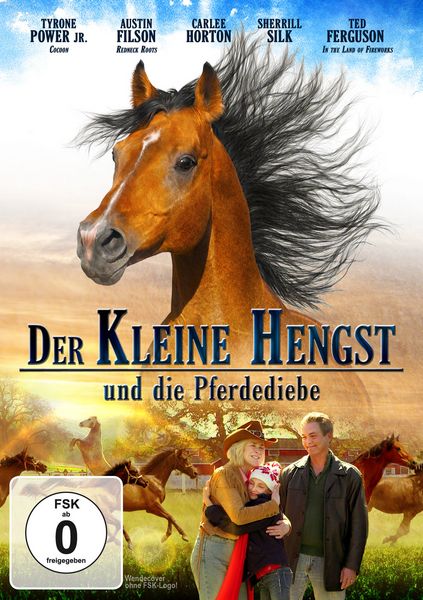 Produktbild: Der kleine Hengst und die Pferdediebe