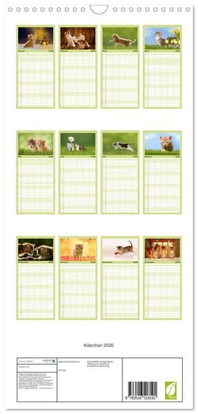 Produktbild: Familienplaner 2026 - K&auml;tzchen 2026 mit 5 Spalten (Wandkalender, 21 x 45 cm) CALVENDO