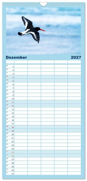 Produktbild: Familienplaner 2027 - Limikolen - Watv&ouml;gel aus Europa mit 5 Spalten (Wandkalender, 21 x 45 cm) CALVENDO