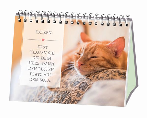 Produktbild: Kleine Tiger, gro&szlig;es Gl&uuml;ck!