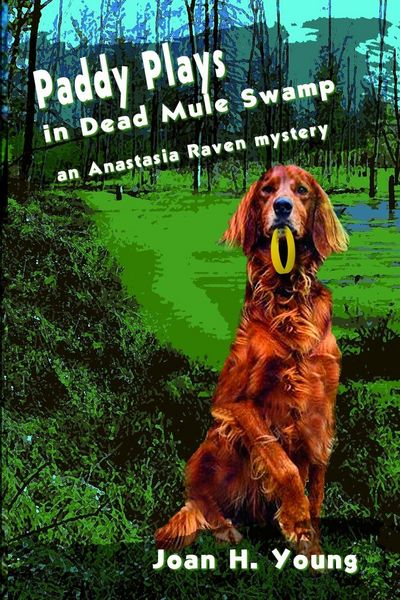 Produktbild: Paddy Plays in Dead Mule Swamp