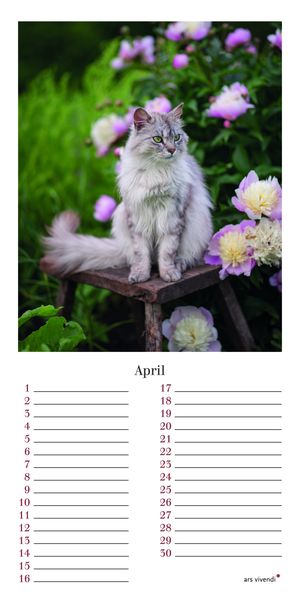 Produktbild: Geburtstagskalender Katzen