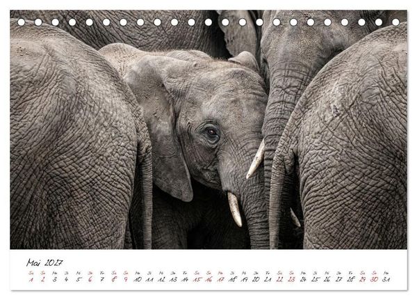 Produktbild: Better Together - Herdenmomente (Tischkalender 2027 DIN A5 quer), CALVENDO Monatskalender