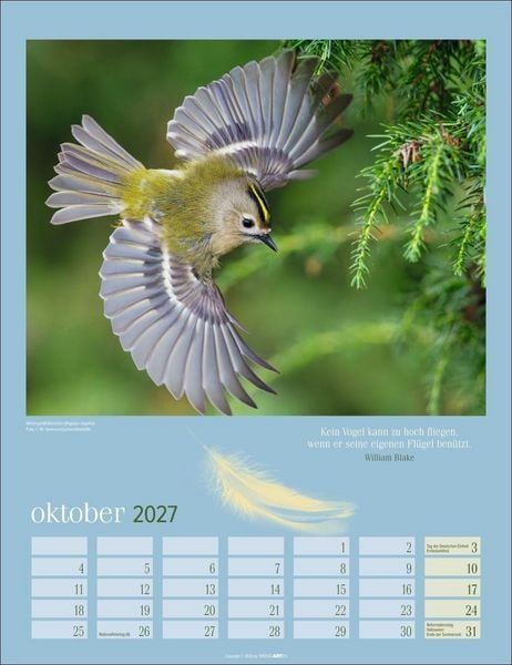 Produktbild: Heimische V&ouml;gel Kalender 2027
