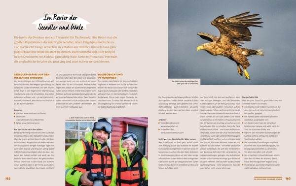 Produktbild: Yes we camp! 4- Jahreszeiten-Camping in Skandinavien