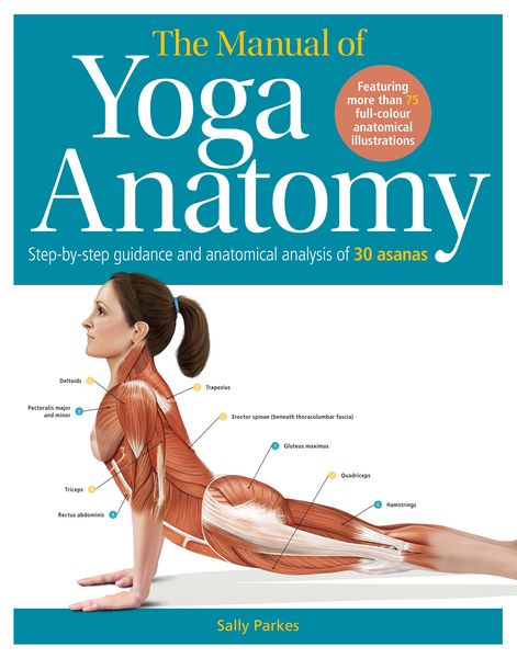 Produktbild: The Manual of Yoga Anatomy