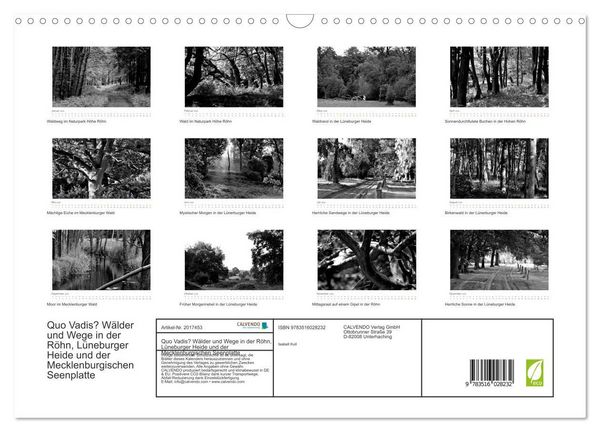 Produktbild: Quo Vadis? W&auml;lder und Wege in der R&ouml;hn, L&uuml;neburger Heide und der Mecklenburgischen Seenplatte (Wandkalender 2026 DIN A3 quer), CALVENDO Monatskalender
