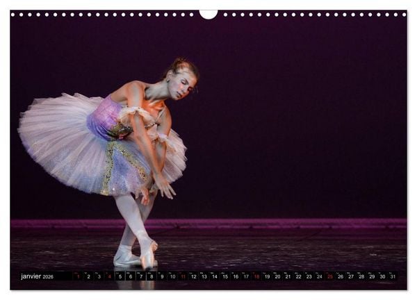 Produktbild: Vaganova, ballet imp&eacute;rial (Calendrier mural 2026 DIN A3 vertical), CALVENDO calendrier mensuel