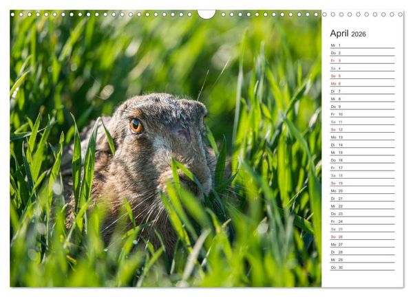 Produktbild: Emotionale Momente: Wild und Jagd. (Wandkalender 2026 DIN A3 quer), CALVENDO Monatskalender