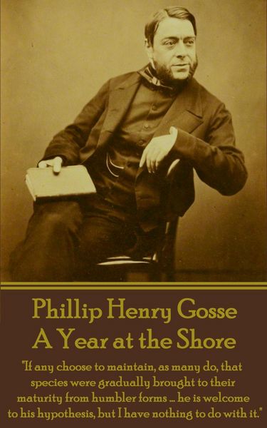 Produktbild: A Year at the Shore