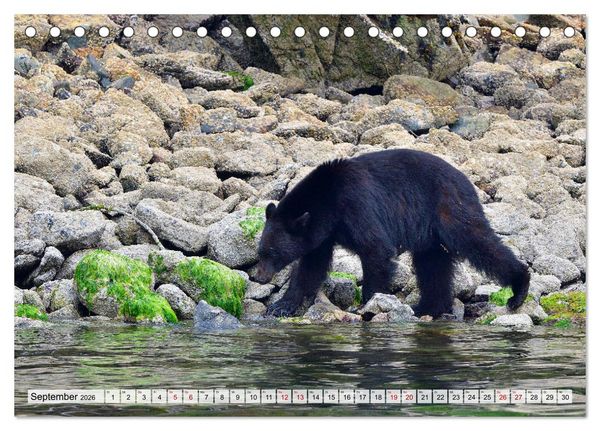 Produktbild: Faszination Vancouver Island (Tischkalender 2026 DIN A5 quer), CALVENDO Monatskalender