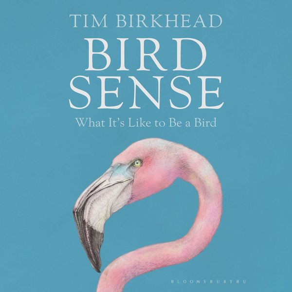 Produktbild: Bird Sense