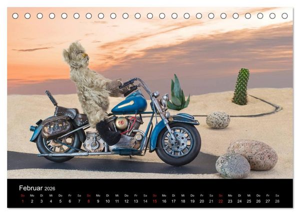 Produktbild: Martin B&auml;ren (Tischkalender 2026 DIN A5 quer), CALVENDO Monatskalender
