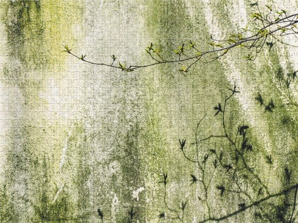 CALVENDO Puzzle Ein Motiv aus dem Kalender Mauerblümchen - Poesie im Alltäglichen | 2000 Teile Lege-Größe 90x67cm Foto-Puzzle für glückliche Stunden
