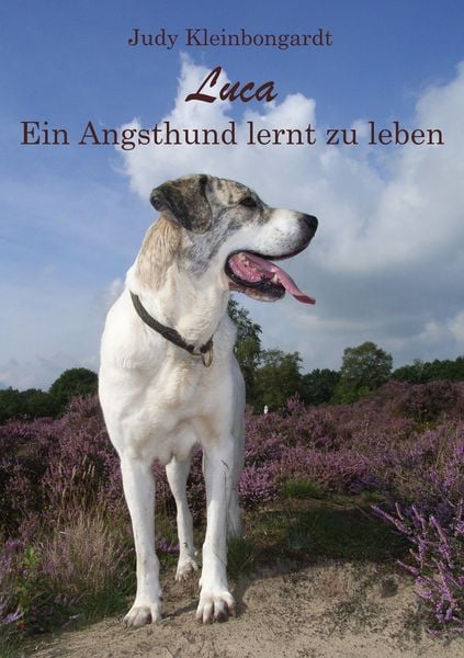 Produktbild: Luca