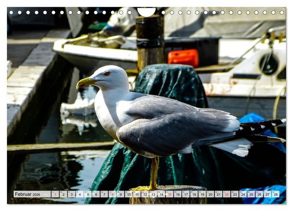 Produktbild: Chioggia - Venedigs kleine Schwester (Wandkalender 2026 DIN A4 quer), CALVENDO Monatskalender