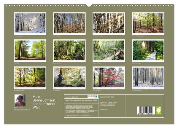 Produktbild: Mein Sehnsuchtsort, der heimische Wald (Wandkalender 2026 DIN A2 quer), CALVENDO Monatskalender
