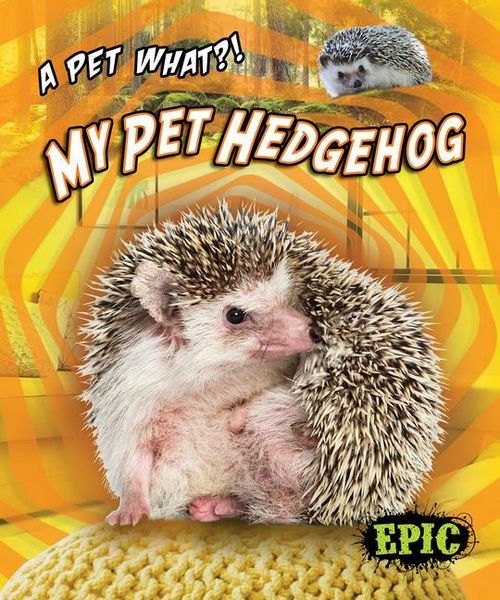 Produktbild: My Pet Hedgehog