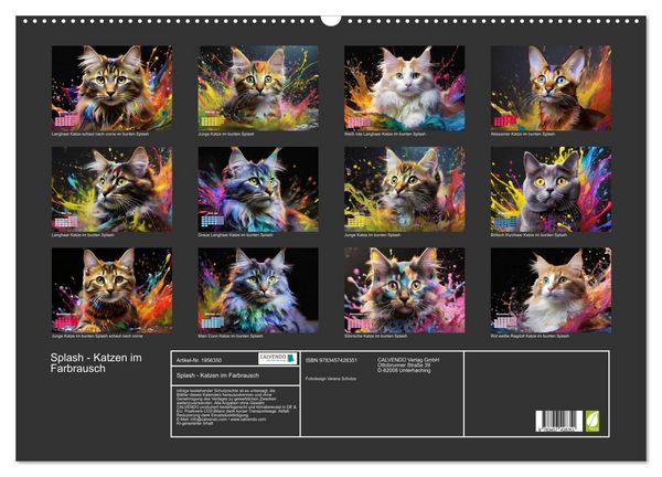 Produktbild: Splash - Katzen im Farbrausch (Wandkalender 2026 DIN A2 quer), CALVENDO Monatskalender