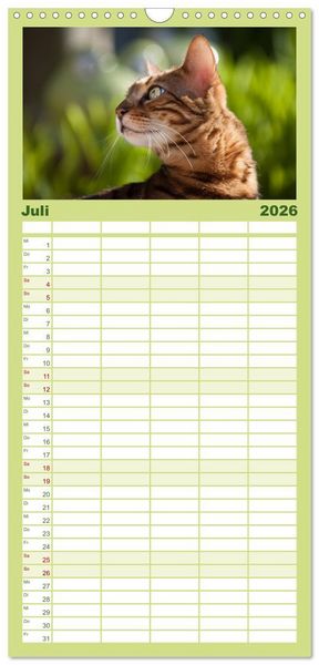 Produktbild: Familienplaner 2026 - Bengalen Outdoor und Action mit 5 Spalten (Wandkalender, 21 x 45 cm) CALVENDO