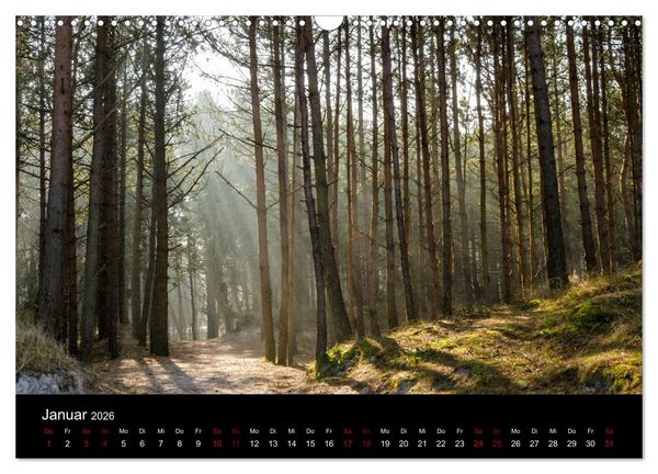 Produktbild: Polen - Reise durch unser sch&ouml;nes Nachbarland (Wandkalender 2026 DIN A3 quer), CALVENDO Monatskalender