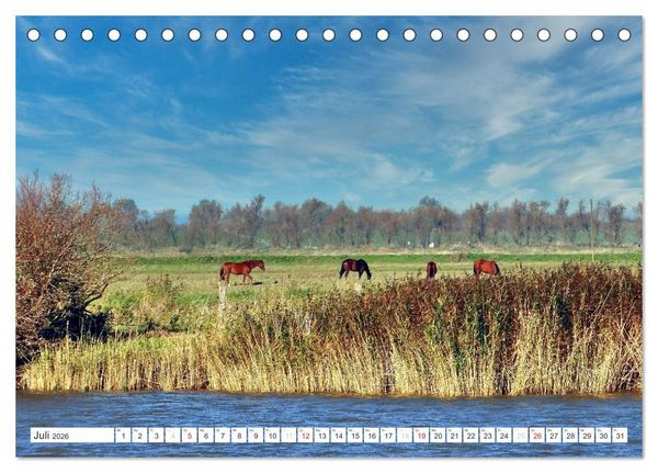 Produktbild: Bilder aus Nordkehdingen (Tischkalender 2026 DIN A5 quer), CALVENDO Monatskalender