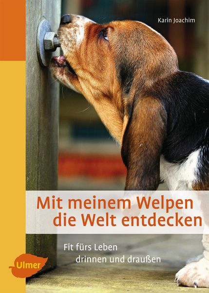 Produktbild: Mit meinem Welpen die Welt entdecken