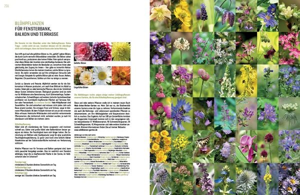 Produktbild: WILDBIENENHELFER