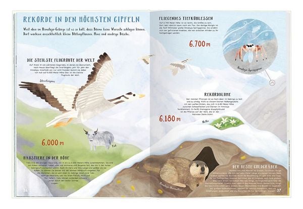 Produktbild: Verr&uuml;ckte Rekorde