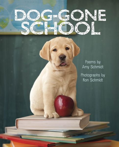 Produktbild: Dog-Gone School